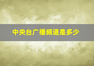 中央台广播频道是多少