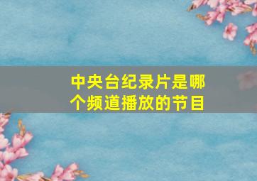 中央台纪录片是哪个频道播放的节目