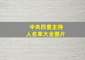 中央四套主持人名单大全图片