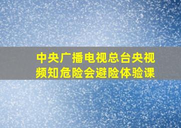 中央广播电视总台央视频知危险会避险体验课