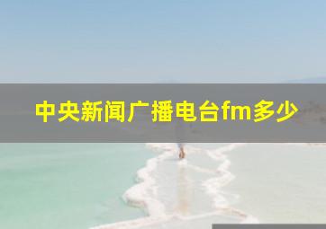 中央新闻广播电台fm多少