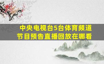 中央电视台5台体育频道节目预告直播回放在哪看