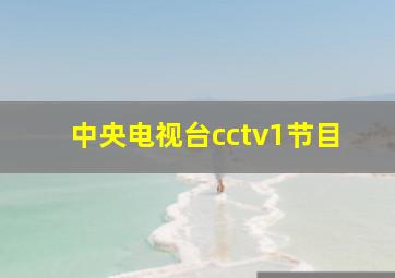 中央电视台cctv1节目