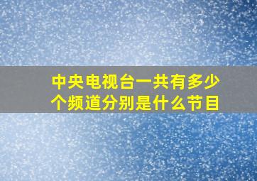 中央电视台一共有多少个频道分别是什么节目