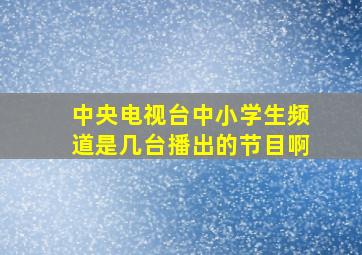 中央电视台中小学生频道是几台播出的节目啊