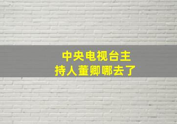 中央电视台主持人董卿哪去了