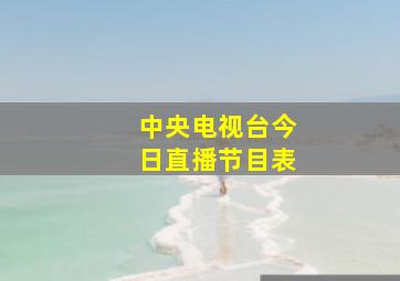 中央电视台今日直播节目表