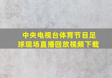 中央电视台体育节目足球现场直播回放视频下载