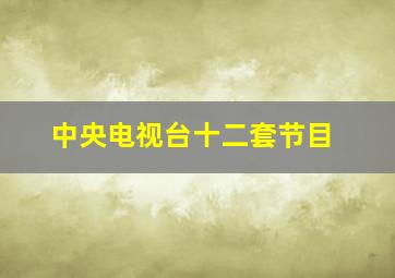 中央电视台十二套节目