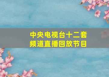 中央电视台十二套频道直播回放节目