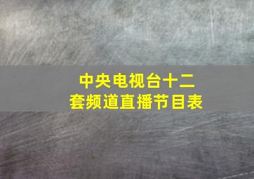 中央电视台十二套频道直播节目表