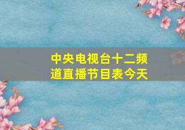 中央电视台十二频道直播节目表今天