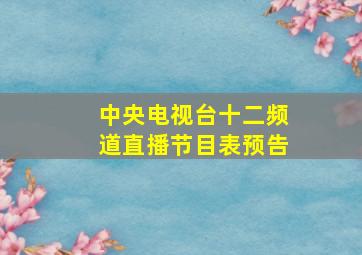 中央电视台十二频道直播节目表预告