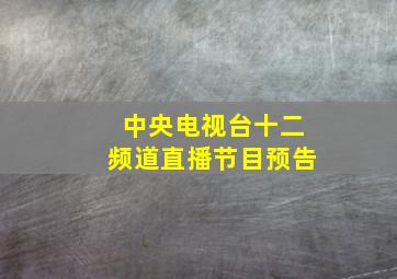 中央电视台十二频道直播节目预告