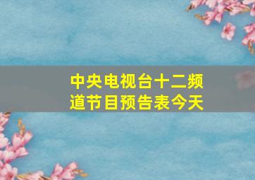 中央电视台十二频道节目预告表今天