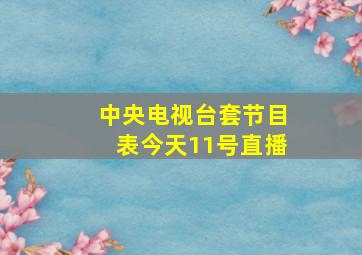 中央电视台套节目表今天11号直播