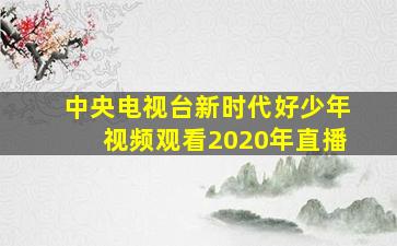 中央电视台新时代好少年视频观看2020年直播