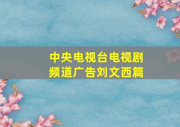 中央电视台电视剧频道广告刘文西篇