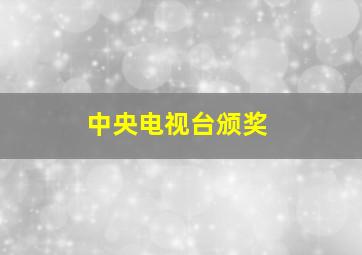 中央电视台颁奖