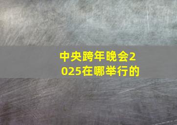 中央跨年晚会2025在哪举行的