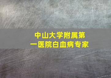 中山大学附属第一医院白血病专家