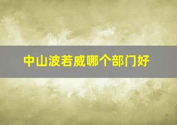 中山波若威哪个部门好