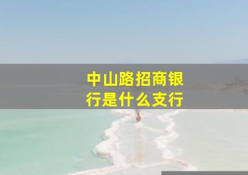 中山路招商银行是什么支行