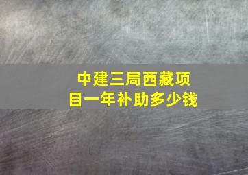 中建三局西藏项目一年补助多少钱