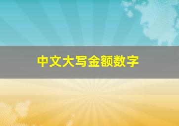 中文大写金额数字