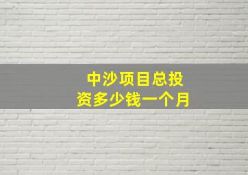 中沙项目总投资多少钱一个月