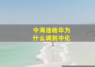 中海油杨华为什么调到中化