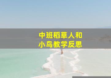 中班稻草人和小鸟教学反思