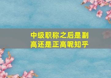 中级职称之后是副高还是正高呢知乎