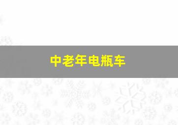 中老年电瓶车