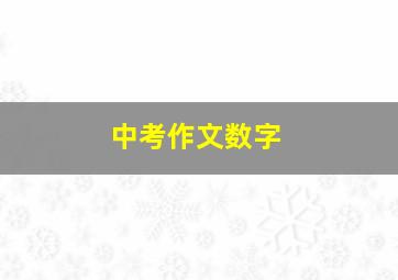 中考作文数字