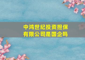 中鸿世纪投资担保有限公司是国企吗