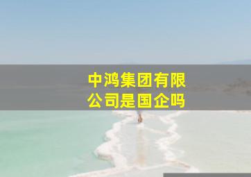 中鸿集团有限公司是国企吗