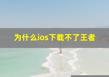 为什么ios下载不了王者