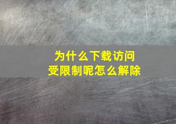 为什么下载访问受限制呢怎么解除