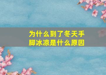 为什么到了冬天手脚冰凉是什么原因