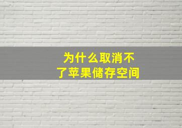 为什么取消不了苹果储存空间