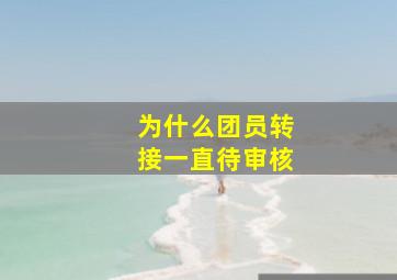 为什么团员转接一直待审核