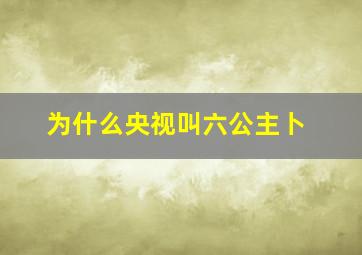 为什么央视叫六公主卜