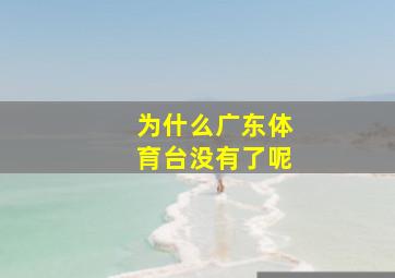 为什么广东体育台没有了呢