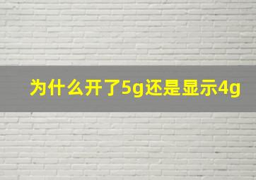 为什么开了5g还是显示4g