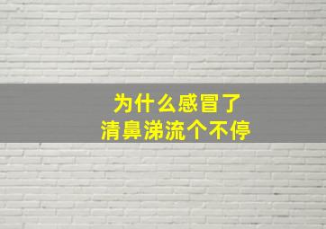 为什么感冒了清鼻涕流个不停