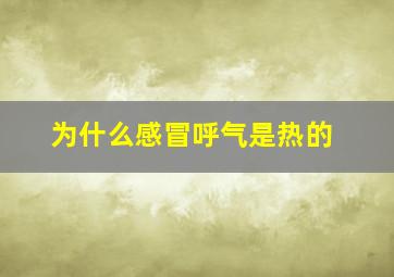 为什么感冒呼气是热的