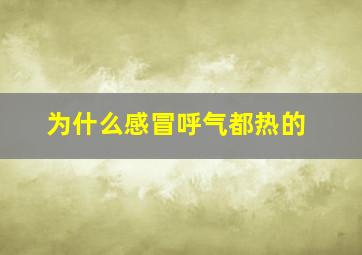 为什么感冒呼气都热的