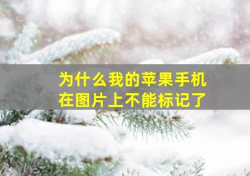 为什么我的苹果手机在图片上不能标记了