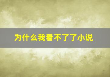 为什么我看不了了小说